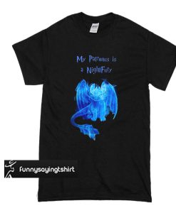 My Parronus Is A Nigth Ful'y t shirt