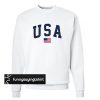 USA Flag sweatshirt