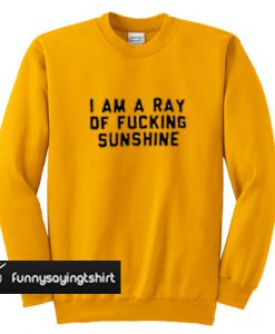 i am a ray of fucking sunshine sweatshirt