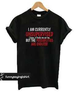 Possiblities Endless Sarcastic t shirt