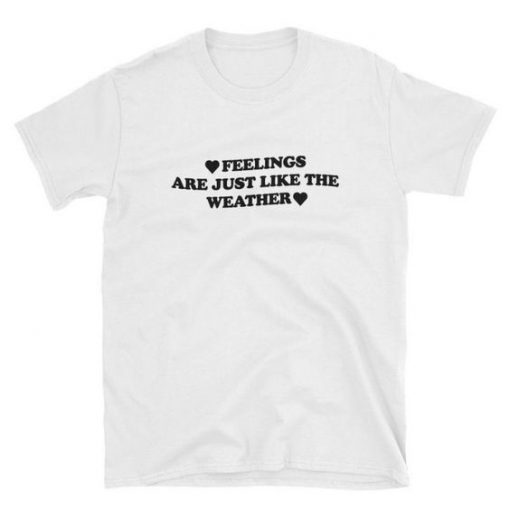 Feelings are just like the Weather t shirt