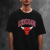 Chicago Bulls Logo t shirt